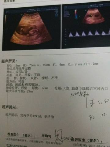 journal_insert_pic_996998253