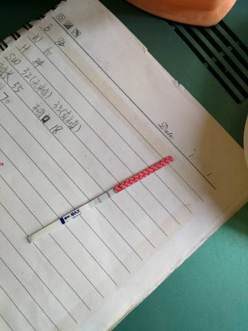 journal_insert_pic_997341570