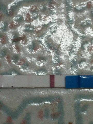 journal_insert_pic_998065136