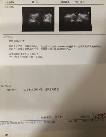 journal_insert_pic_999065377