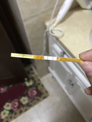 journal_insert_pic_998825738