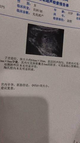 journal_insert_pic_999320550