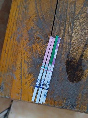 journal_insert_pic_1000252152