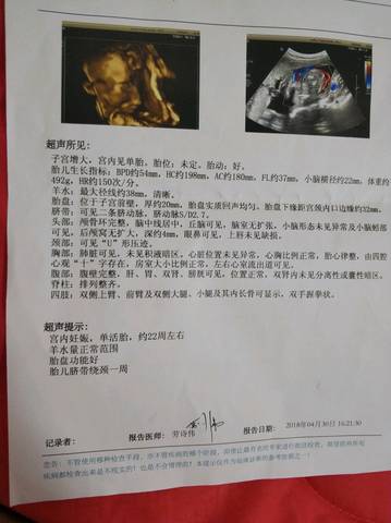 journal_insert_pic_1001168465