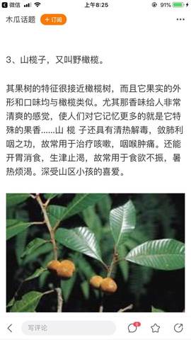 journal_insert_pic_1000698156