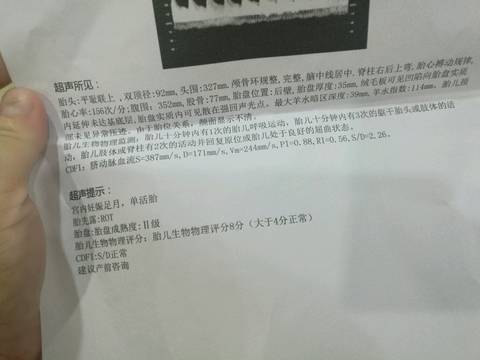 journal_insert_pic_1000941200