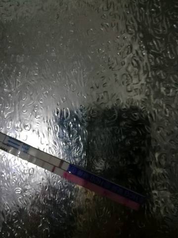 journal_insert_pic_1002948484