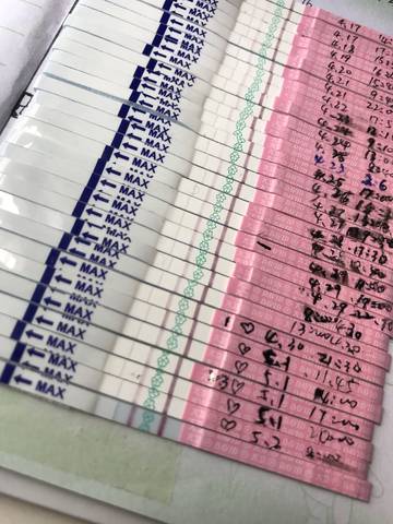 journal_insert_pic_1002529945