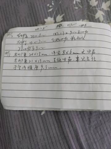 journal_insert_pic_1002539944