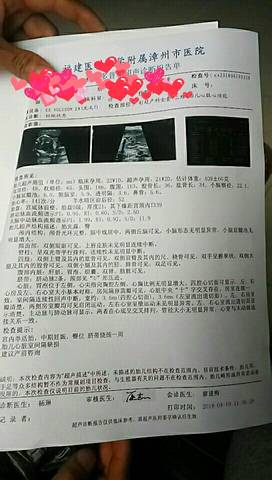 journal_insert_pic_1002742583