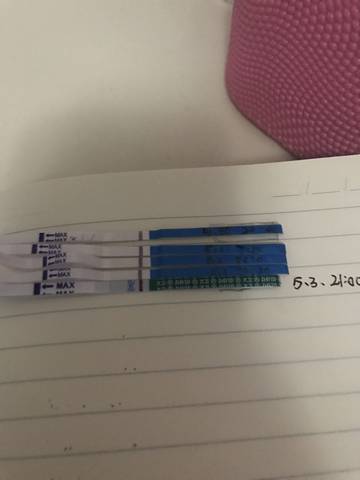 journal_insert_pic_1003713842