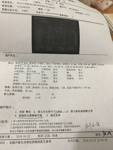 journal_insert_pic_1004132691