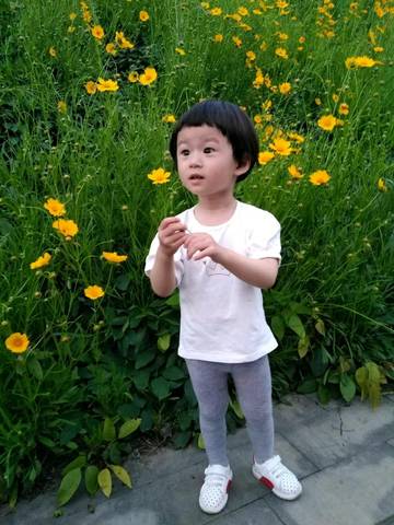 journal_insert_pic_1004538014