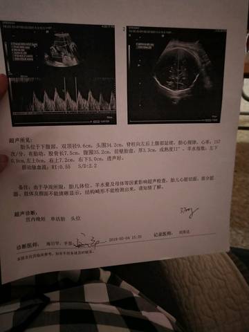 journal_insert_pic_1004352846