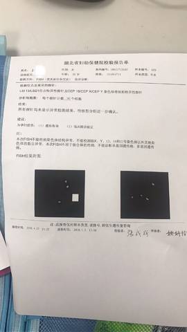 journal_insert_pic_1005364129