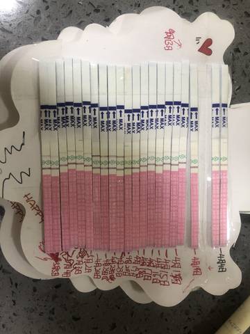 journal_insert_pic_1005383521