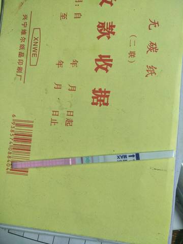 journal_insert_pic_1005723486