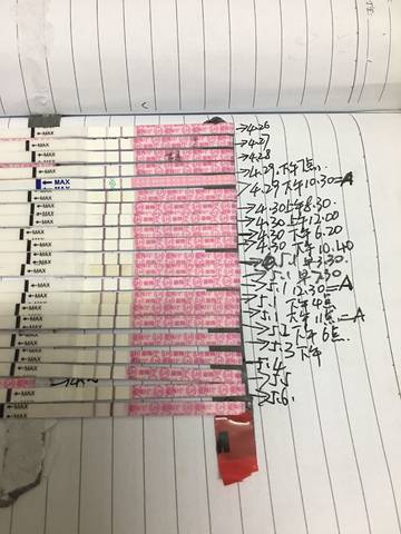 journal_insert_pic_1006705855