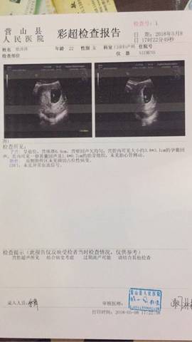 journal_insert_pic_1007459379