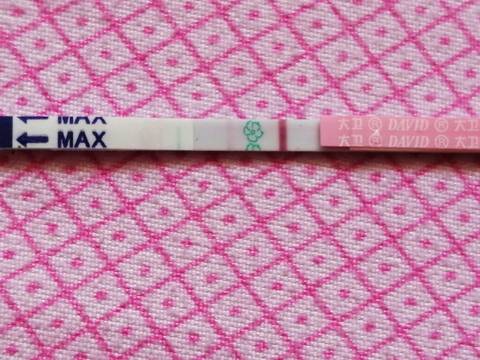 journal_insert_pic_1007933685