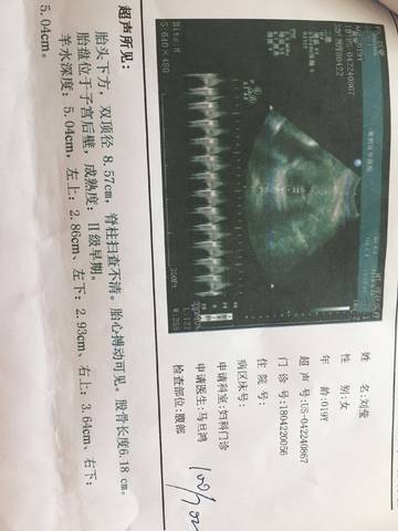 journal_insert_pic_1007749042