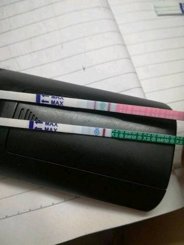 journal_insert_pic_1009001914