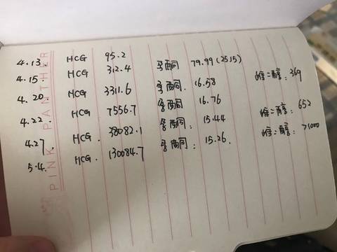 journal_insert_pic_1008684168