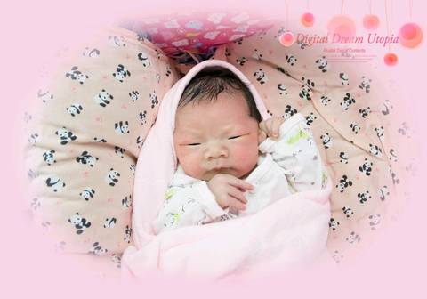 journal_insert_pic_1008622372