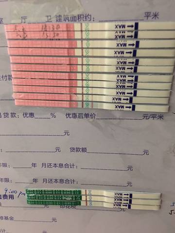 journal_insert_pic_1009151393