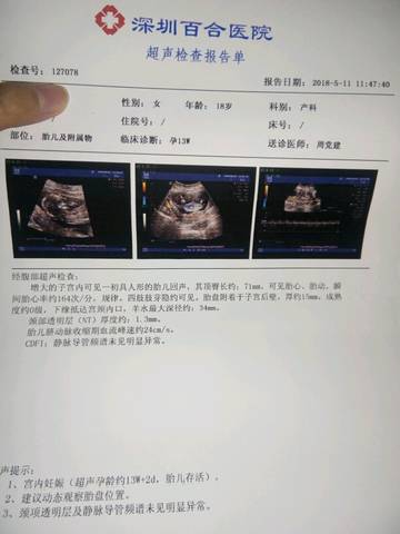 journal_insert_pic_1010469441