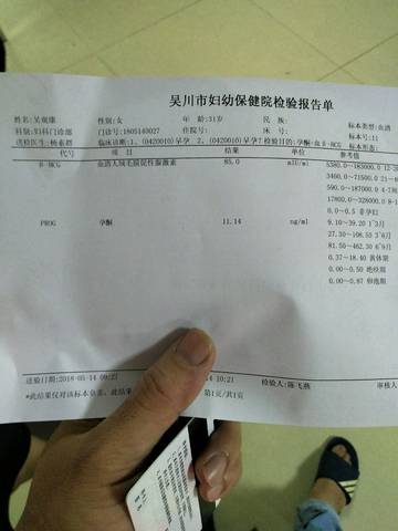 journal_insert_pic_1011451822