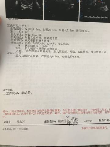 journal_insert_pic_1011548285