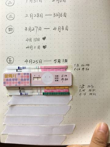 journal_insert_pic_1012270235