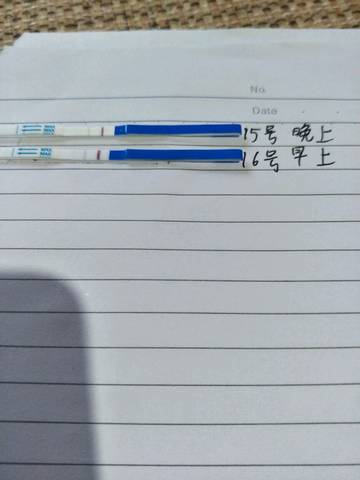 journal_insert_pic_1012693372