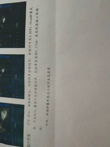 journal_insert_pic_1014062147