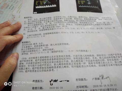journal_insert_pic_1014173329