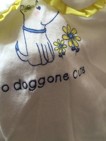 journal_insert_pic_1014916437