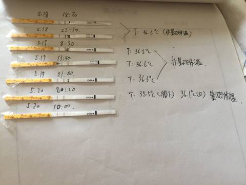journal_insert_pic_1015627921