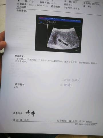 journal_insert_pic_1016934386