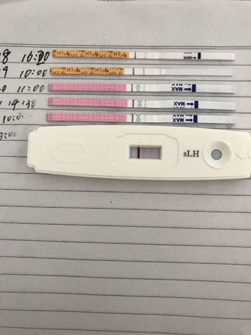 journal_insert_pic_1017117365