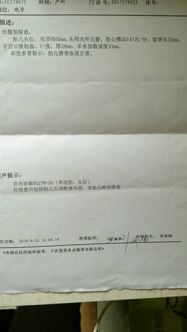journal_insert_pic_1017128405