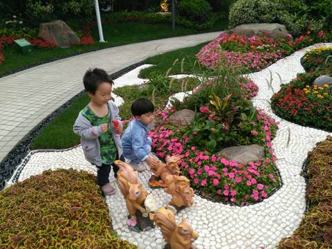 journal_insert_pic_1017840147