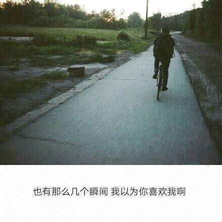 journal_insert_pic_1017908571