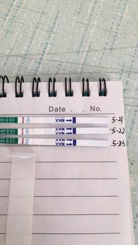journal_insert_pic_1017788055