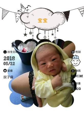 journal_insert_pic_1018603445