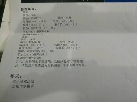 journal_insert_pic_1018674889