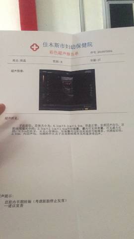 journal_insert_pic_1019560596