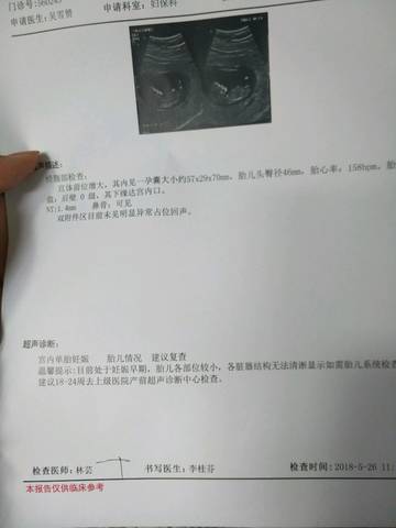 journal_insert_pic_1020301193