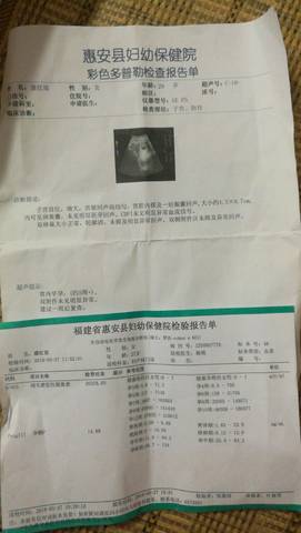 journal_insert_pic_1021321567