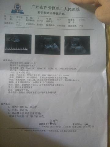 journal_insert_pic_1020805232